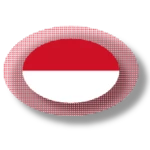 indonesian apps and games android application logo